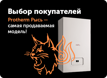 Протерм Рысь